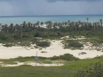 Praia de Porto das Dunas